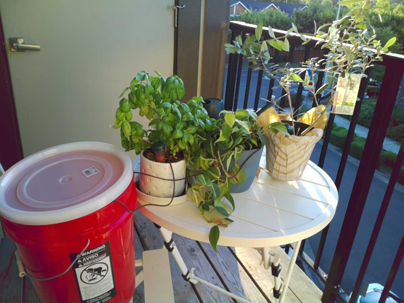 Plant capture from Wednesday, July 29